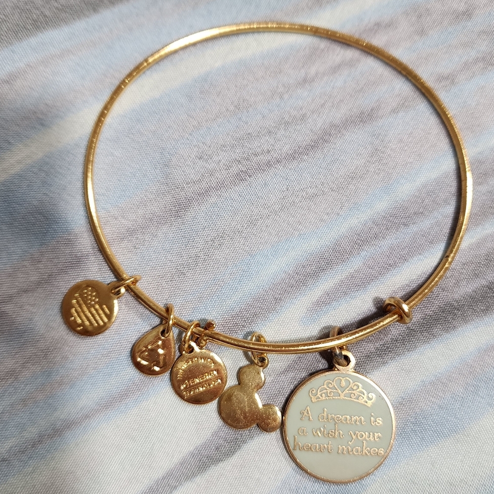 Disney Alex and Ani